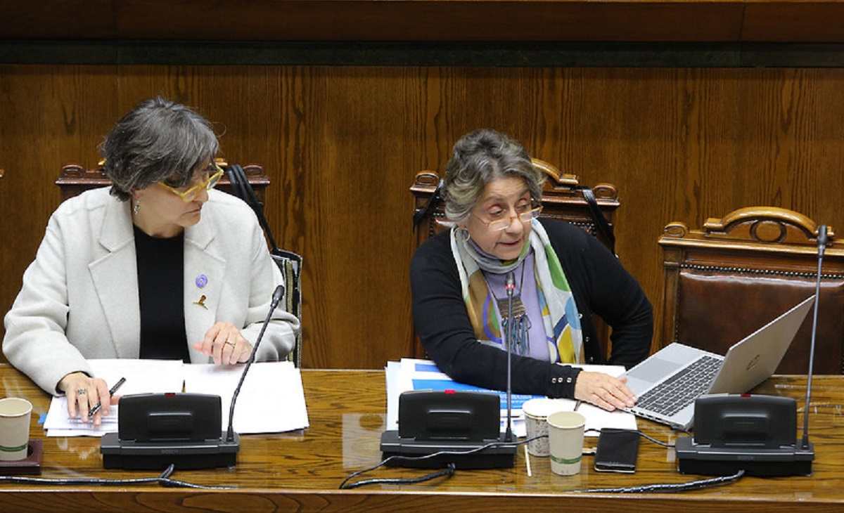 Ministra ante el Senado
