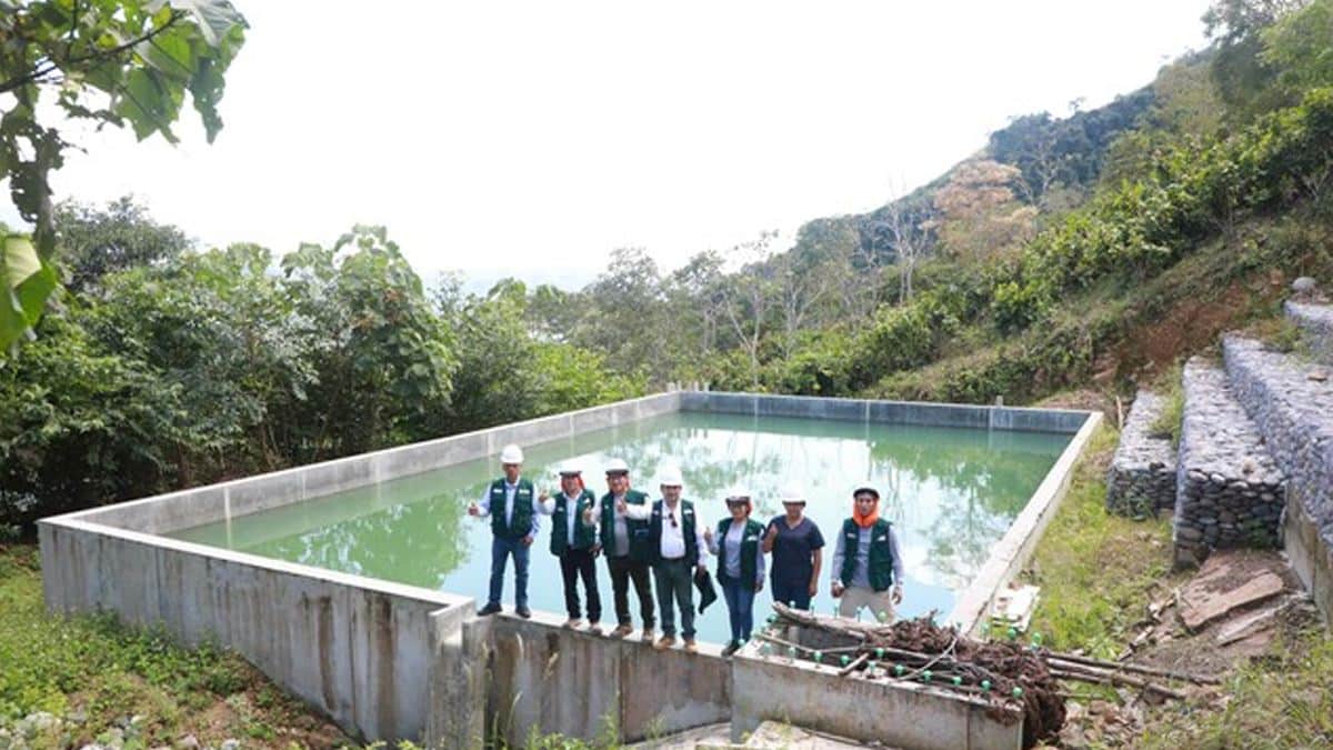 Obras