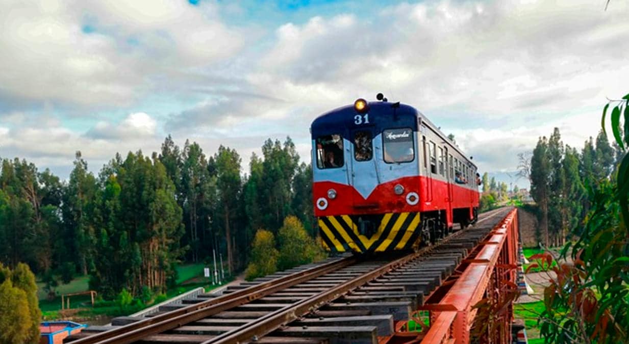 Forman parte del Plan Nacional de Desarrollo Ferroviario que tiene como fin establecer la estrategia de desarrollo del sistema de trenes.