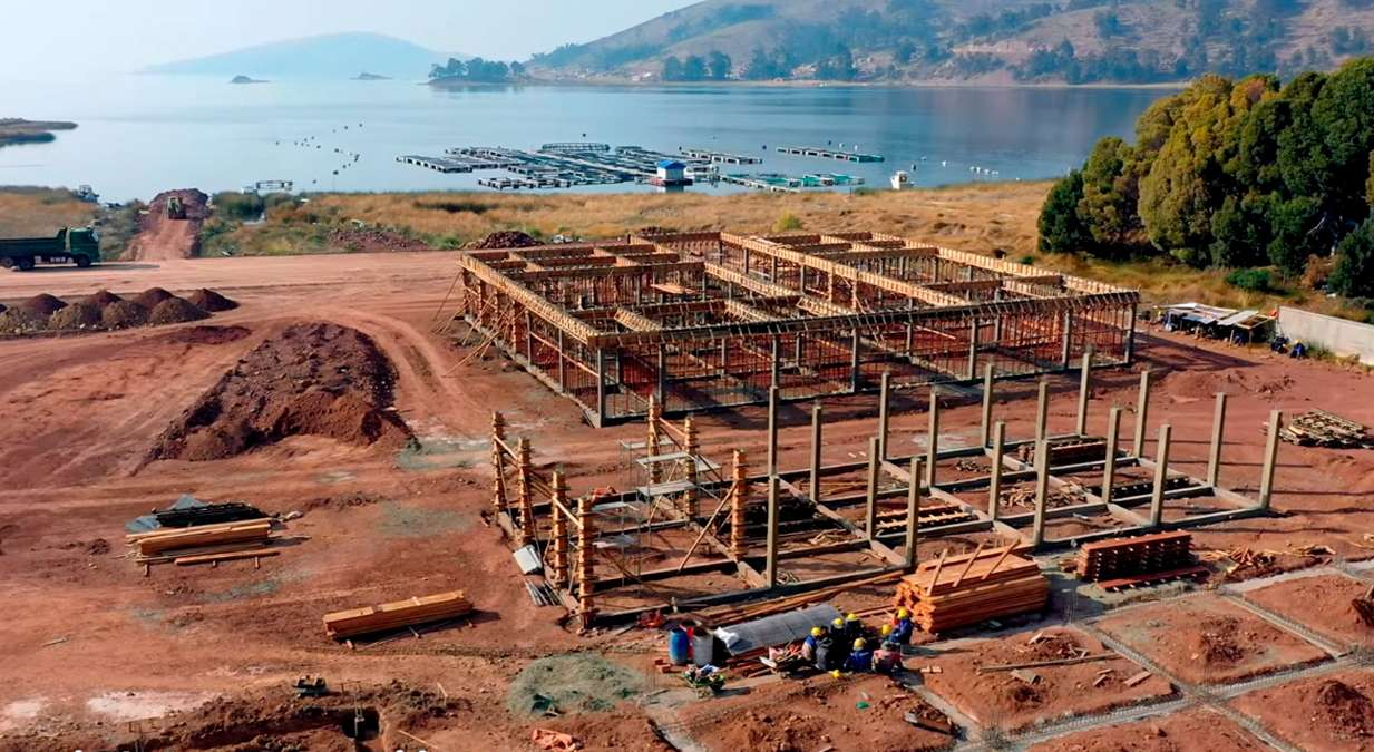 Construcción de Planta