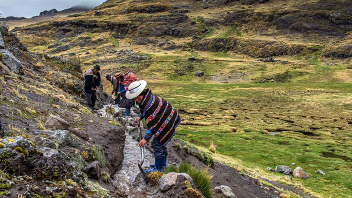 Canadá y EE.UU. invertirán más US$ 50 millones en protección y restauración natural en Perú
