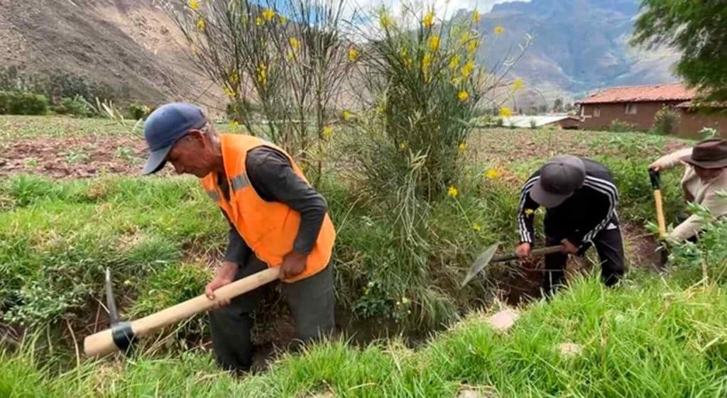Mantenimiento de canales y drenes