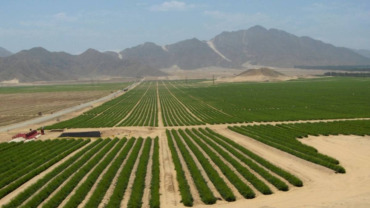 La Libertad: Proyecto Chavimochic III Etapa contará con reservas de agua del río Santa