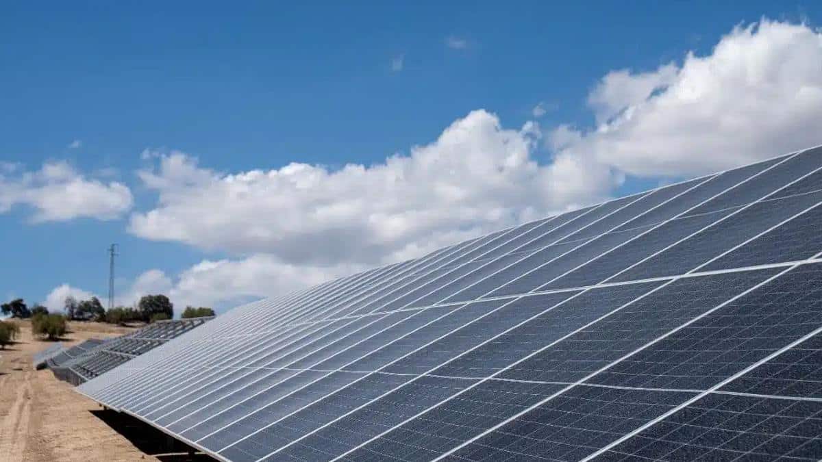 proyectos de energía renovable