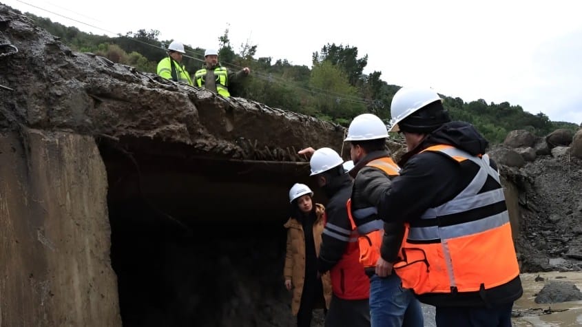 puente Las Toninas