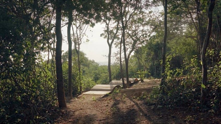Colombia: Reactivan obras en el Bosque Urbano de Miramar