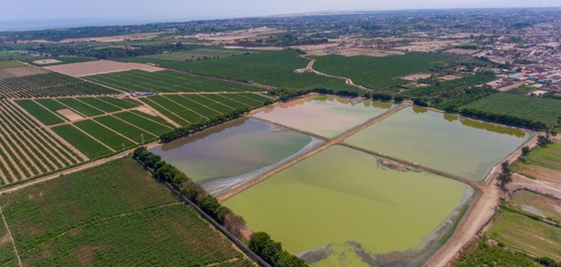 Declararán de interés iniciativa para mejorar tratamiento de aguas residuales de chincha