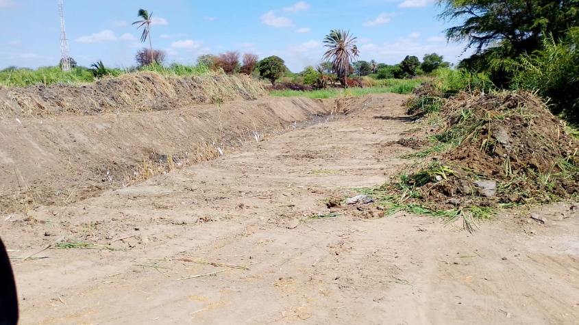 Piura: Realizan limpieza de drenes en Rinconada Llicuar y Bernal