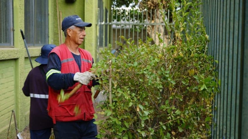 jardín