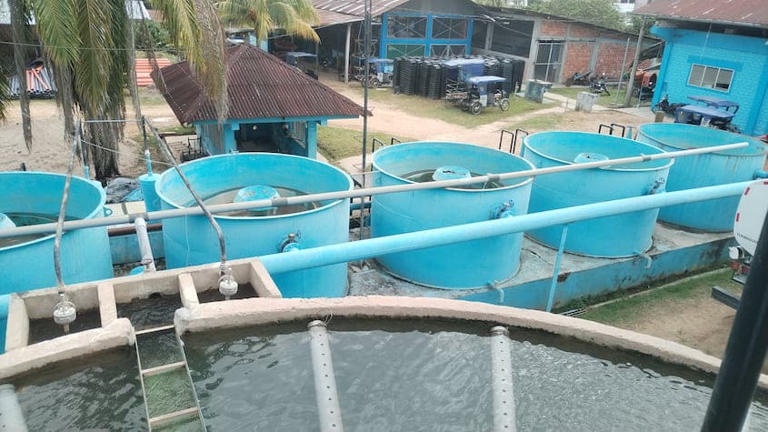 Loreto: Sedaloreto invierte más de S/ 4.6 millones para mejorar agua potable en Iquitos, Requena y Yurimaguas