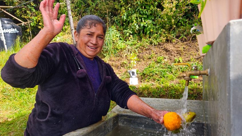 persona lavando fruta
